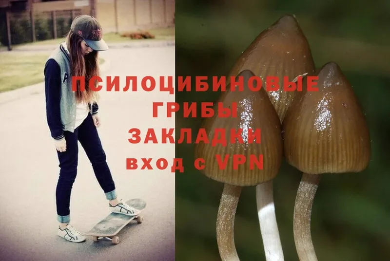 omg как зайти  Дюртюли  Галлюциногенные грибы Cubensis 